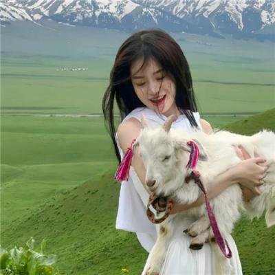 加斯帕24小时